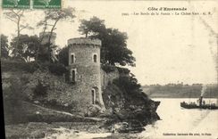 CPA Les Bords De La Rance Le Chene Vert Bateau
