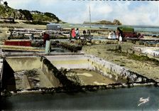 POSTAL MODERNA Cancale las camas de ostra