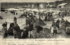 CPA Cancale La Triage des Huitres Ostreiculture