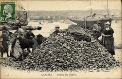 VINTAGE POSTCARD Cancale Sorting of the Oysters Ostreiculture TOP