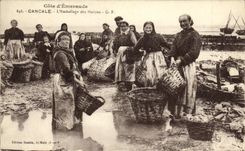 CPA Cancale L Emballage des Huitres Ostreiculture TOP