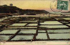 VINTAGE POSTCARD Cancale Parks with Oysters