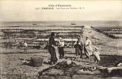 CPA Cancale Les Parcs aux Huitres Ostreiculture
