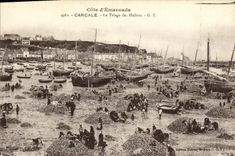 CPA Cancale Le Triage des Huitres Ostreiculture