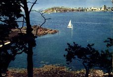 CPM Dinard Square Vers le Prieure Au loin St malo