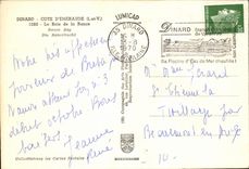 POSTAL MODERNA jardin público de Dinard hacia el Prioress con malo lejano del St