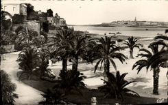 POSTAL MODERNA plantacion de la palma de Dinard en el Malo inferior santo