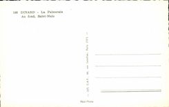 CPM Dinard La Palmeraie Au Fond Saint Malo