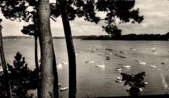 CPM Dinard Vue du Bassin des Yachts Prise de la Promenade