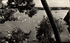 CPA Dinard Le Bassin des Yachts Vue Prise de la Promenade