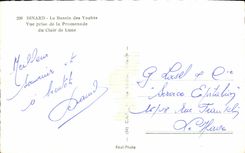 CPA Dinard Le Bassin des Yachts Vue Prise de la Promenade