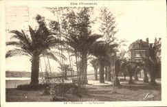 VINTAGE POSTCARD Dinard Palm plantation