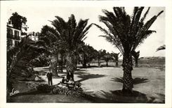 CPA Dinard La Promenade du Clair de Lune