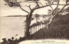 VINTAGE POSTCARD Dinard the Viscount Details D trees With far St Malo