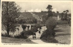 CPA Dol de Bretagne Vue vers le Mont Dol Femmes Charette 