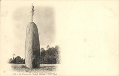 VINTAGE POSTCARD Dol Pierre of the Field Pare