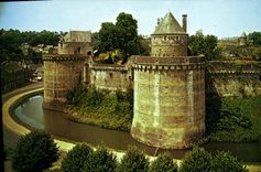 MODERN CARD Ferns the Castle