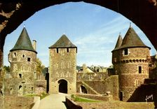 CPM Couleurs et Lumiere de France Fougeres Chateau Tours Guemadeuc La Haye Saint Hilaire et du Hallay
