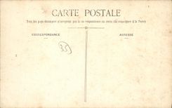 VINTAGE POSTCARD Ferns Nancon in the Castle