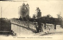 VINTAGE POSTCARD Ferns Seen from on Remaprts of the Castle