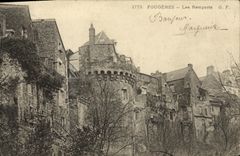 VINTAGE POSTCARD Ferns Walls