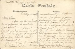 VINTAGE POSTCARD Ferns Panoramic View taken of the Public garden