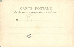 VINTAGE POSTCARD Ferns Sulpice Saint