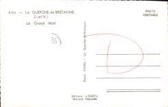 CPM La Guerche de Bretagne Le Grand Mail