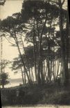CPA La Quimorais Le Bois du Lupion Vache