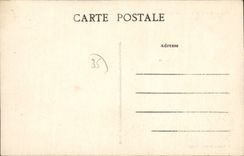 CPA Laille Ile de Rohan et les Saules animee