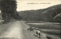 VINTAGE POSTCARD Langon Banks of Unpleasant the Cows
