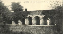 VINTAGE POSTCARD Liffre the Old Bridge Romain de Chevre Seen D be