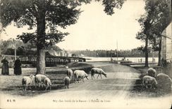 CPA Les Bords De La Rance L ecluse de Livet Moutons 