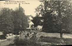 VINTAGE POSTCARD Brittany Montfort On Meu Landscape in the valley of the Market Cows