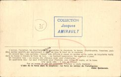 CPA Apotheose des sport Bibliotheque monumentale Parame