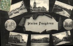 VINTAGE POSTCARD Full Ferns