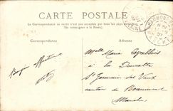 VINTAGE POSTCARD Full Ferns