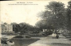 CPA Rennes Au Thabor La grande allee du jardin francais et le CEdre du liban 