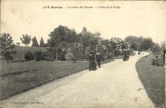 VINTAGE POSTCARD Rennes the Botanical garden L Gone of the Cave