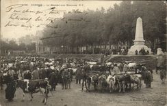 VINTAGE POSTCARD Rennes Market With the Cattle Cows TOP