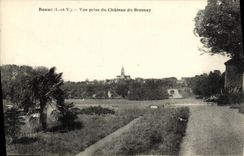 CPA Renac Vue Prise du Chateau du Brossay