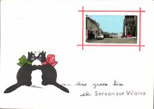 POSTAL MODERNA Servon en gatos desagradables