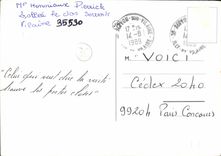 POSTAL MODERNA Servon en gatos desagradables