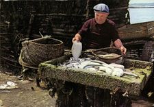 POSTAL MODERNA Benoit santo de las industrias pesqueras de las ondas