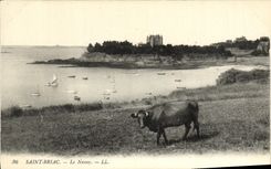 CPA Saint Briac Le Nessey Vache