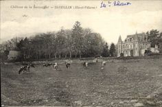 VINTAGE POSTCARD Castle of Sauvagere St Seglin Cows