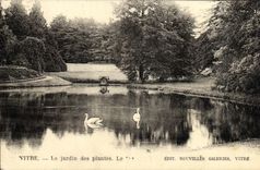 VINTAGE POSTCARD Pane the Botanical garden Swans