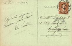 VINTAGE POSTCARD Pane the Botanical garden Swans