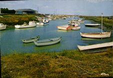 POSTAL MODERNA la charca de pescados en el mar el puerto