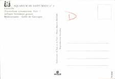 CPM Saint Malo Veretille Polypes